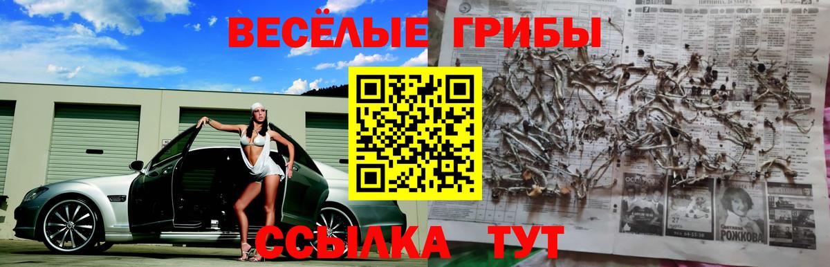 Псилоцибиновые грибы GOLDEN TEACHER  Галлюциногенные грибы Magic Shrooms  Вход с VPN  Южноуральск 
